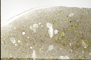 Plane Polarized, S78922