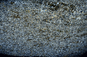 Cross Polarized, S78924