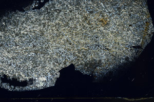 Cross Polarized, S78926