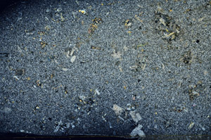 Cross Polarized, S78927