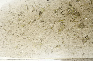 Plane Polarized, S78927