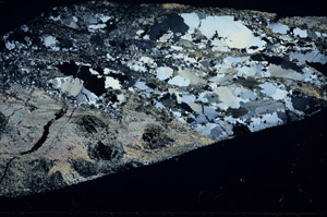 Cross Polarized, S78929