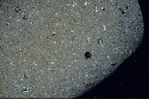 Cross Polarized, S78930