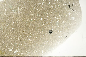 Plane Polarized, S78930