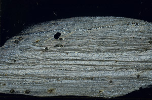 Cross Polarized, S78932