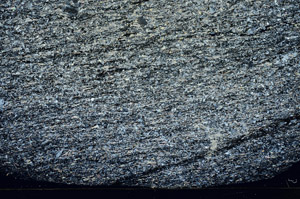 Cross Polarized, S78933