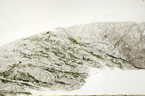 Plane Polarized, S78934