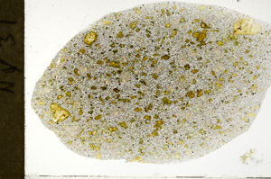 Plane Polarized, S78943