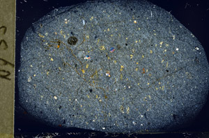 Cross Polarized, S78945