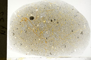 Plane Polarized, S78945