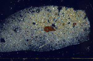 Cross Polarized, S78946