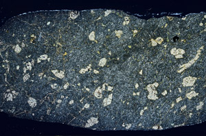 Cross Polarized, S78947