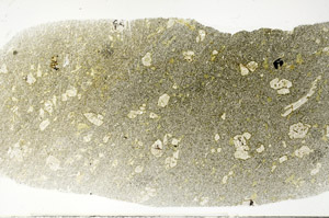 Plane Polarized, S78947