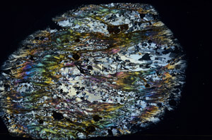 Cross Polarized, S78949