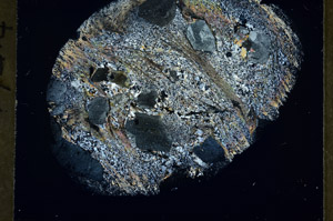 Cross Polarized, S78956