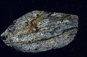 Cross Polarized, S78961