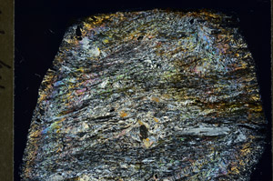 Cross Polarized, S78962