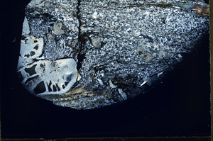 Cross Polarized, S78964