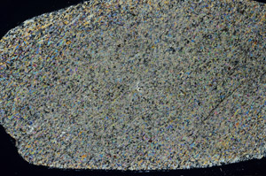 Cross Polarized, S78969