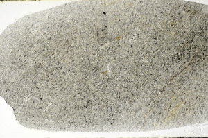 Plane Polarized, S78969