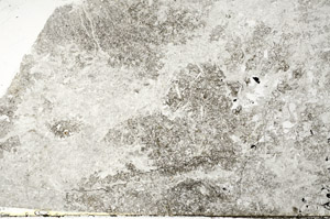 Plane Polarized, S78971