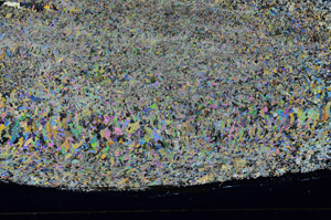 Cross Polarized, S78972
