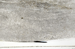 Plane Polarized, S78972