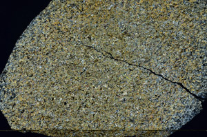 Cross Polarized, S78974