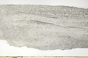 Plane Polarized, S79026