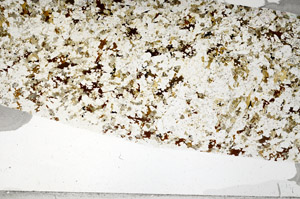 Plane Polarized, S79058