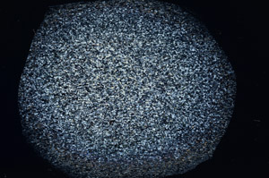 Cross Polarized, S79187