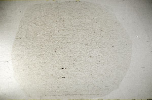 Plane Polarized, S79187