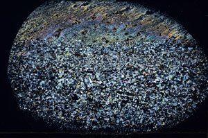 Cross Polarized, S79189