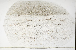 Plane Polarized, S79189