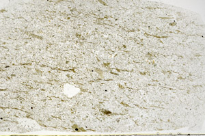 Plane Polarized, S79198