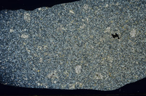 Cross Polarized, S79216