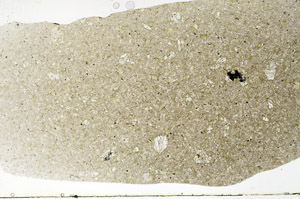 Plane Polarized, S79216