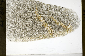 Plane Polarized, S79223