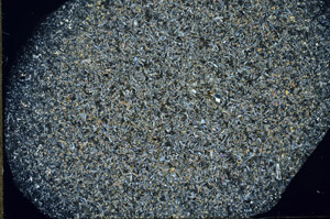 Cross Polarized, S79227