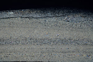 Cross Polarized, S79240