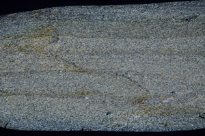 Cross Polarized, S79242