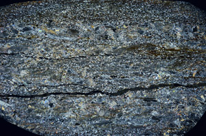 Cross Polarized, S79248