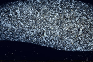 Cross Polarized, S79263