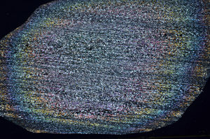 Cross Polarized, S79268