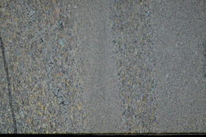 Cross Polarized, S79270/A