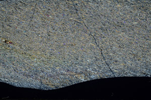Cross Polarized, S79271