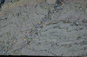 Cross Polarized, S79272
