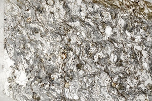 Plane Polarized, S79273