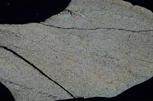 Cross Polarized, S79275/A