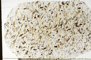 Plane Polarized, S79296